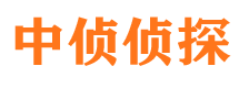 元氏婚外情调查取证